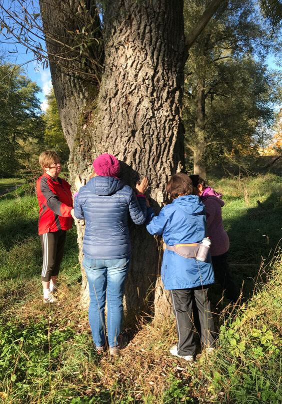 Waldbaden